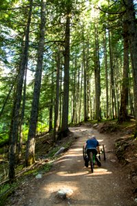Avalanche Lake Hike with Off-road Wheelchair 11