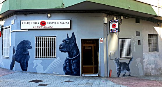 Peluquería canina y felina.