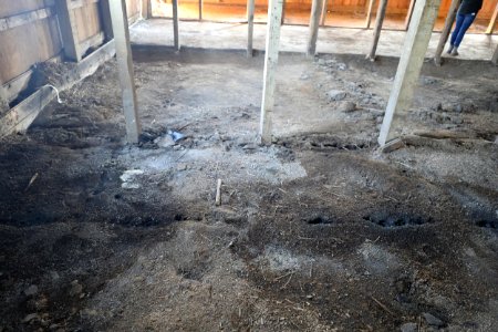 Water marks at BriMar Stables, Silvio O. Conte NFWR