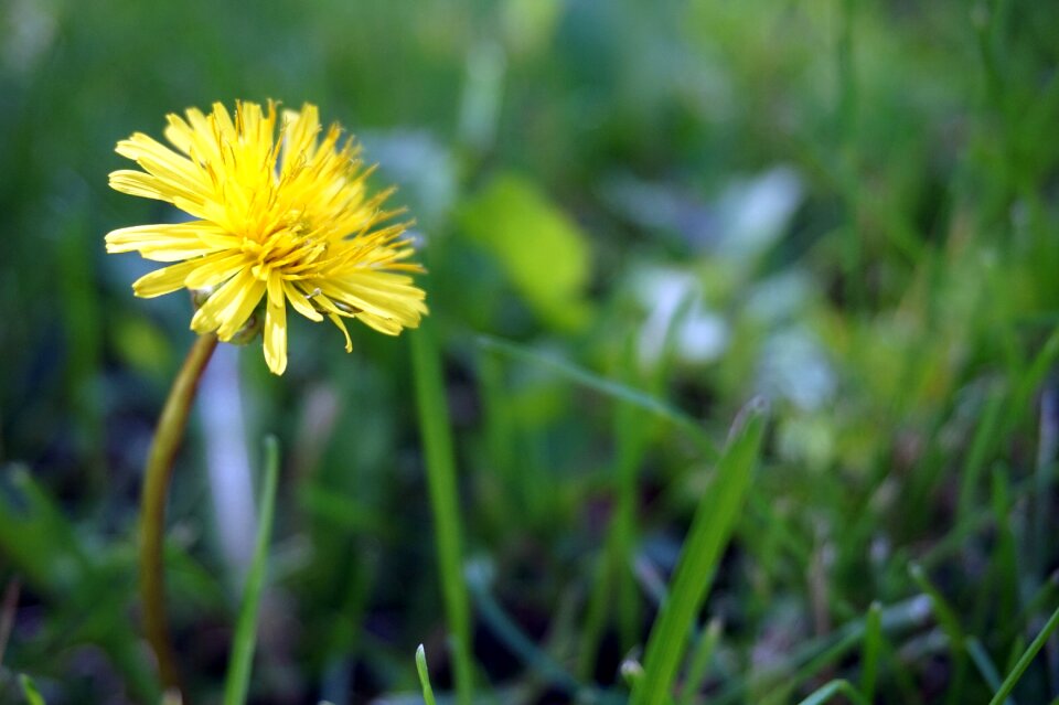 Yellow happy summer