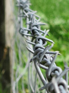 Fence wire barbed photo