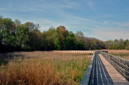 Boardwalk trail