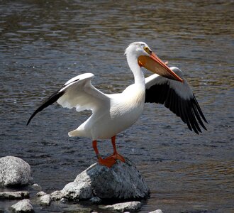 Fox river appleton wisconsin