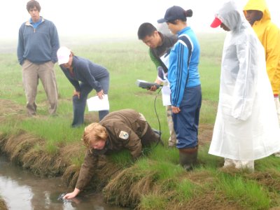 Learning how to measure salinity in a salt marsh photo
