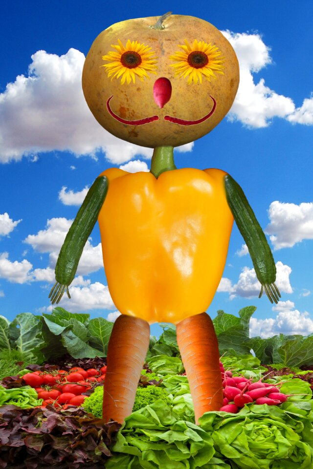 Autumn salad tomatoes