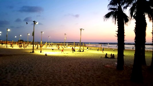 Tel Aviv Nights