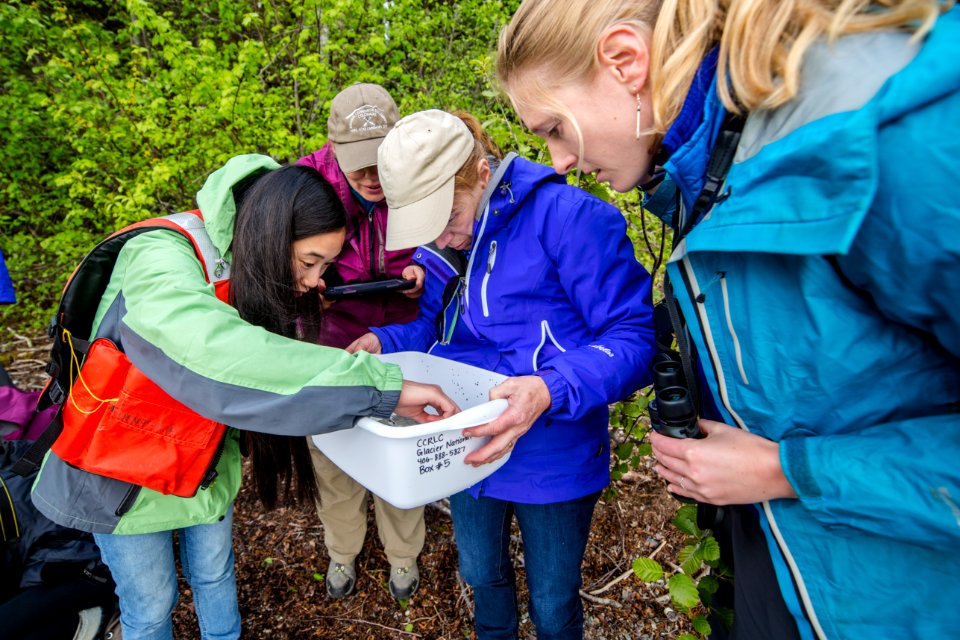 BioBlitz Group at Bowman 0415
