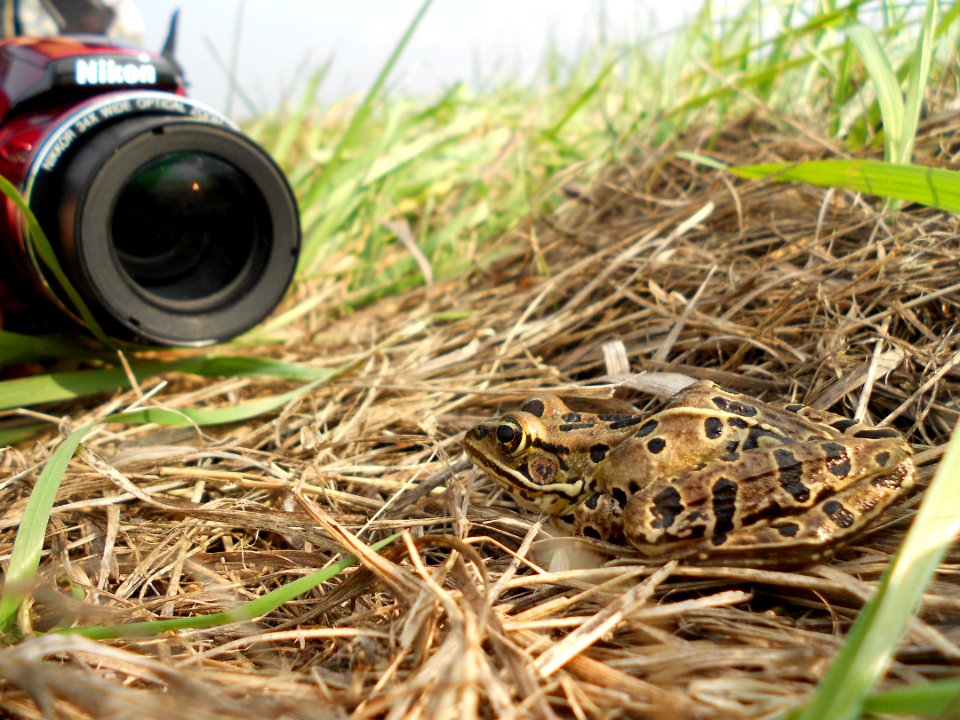 SNAP! Photo by Julianna