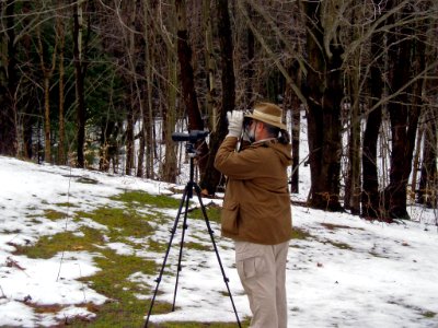 Wildlife viewing