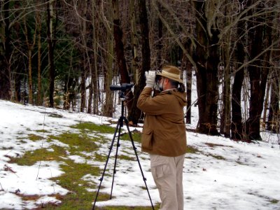 Wildlife viewing photo