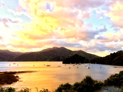 2017 03 NewZealand iPhone 2