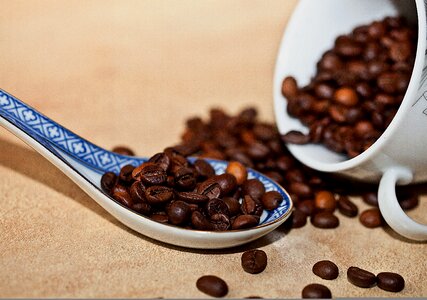 Roasted coffee the variety of coffee arabica photo