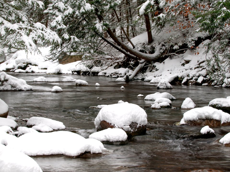 Photo of the Week - South River (MA)