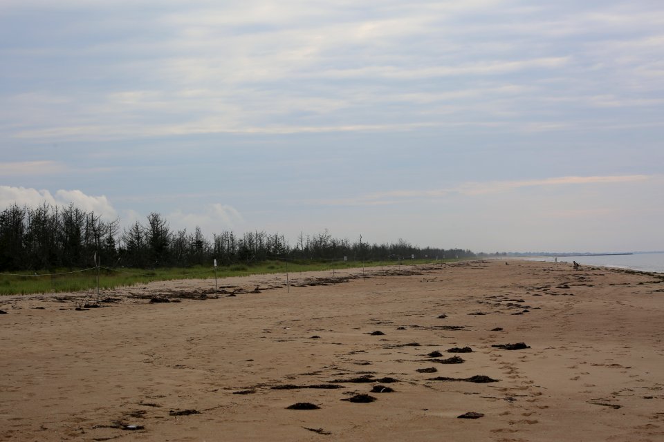 Ninigret National Wildlife Refuge