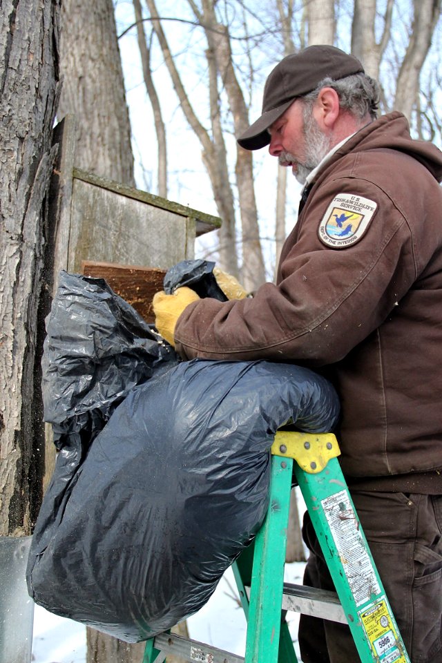 Nest Box Maintenance