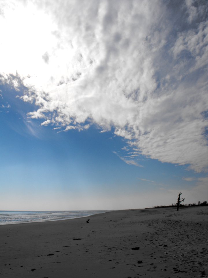 Wild Beach