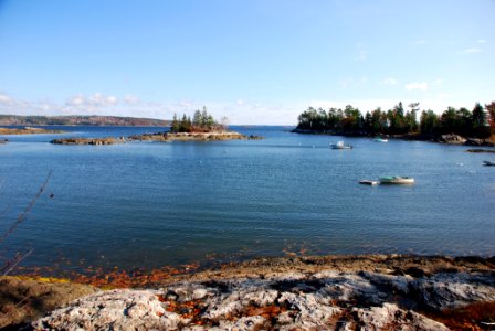 Near-shore environment photo