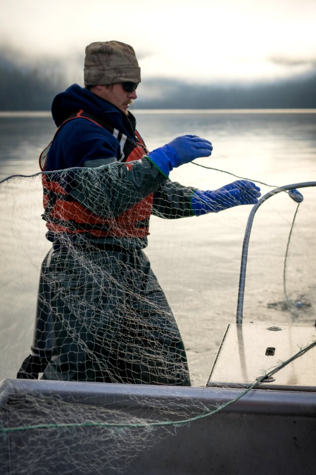 Quartz Lake Fish Project 12
