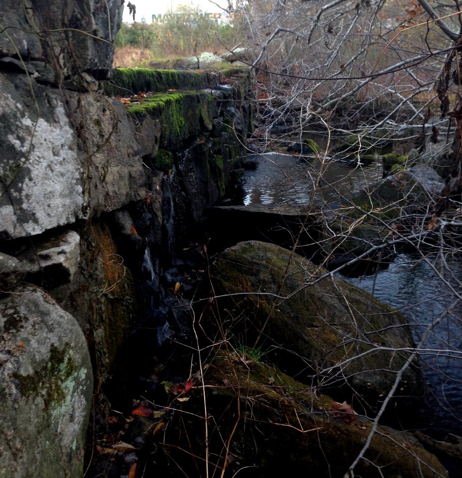 Hyde Pond Dam close-up before removal