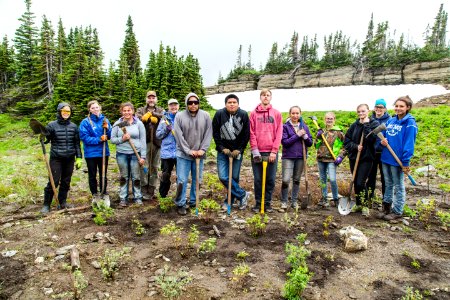 Volunteer Group Planting at Logan Pass 31