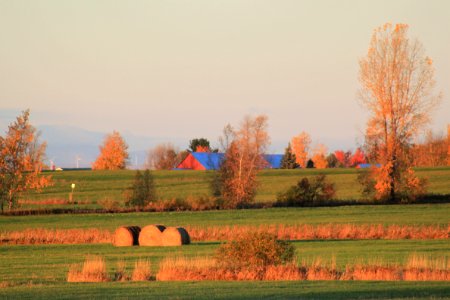 Missisquoi NWR Grassland
