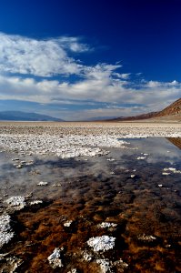 Water on the salt plain