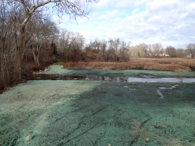 Hyde Pond Dam site after removal
