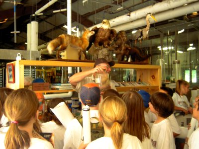 Showing egg jars and animal species