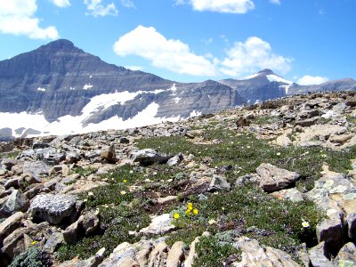 Goat Mtn photo