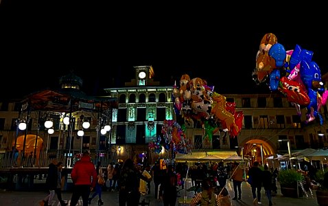 Tudela, (Navarra) España.