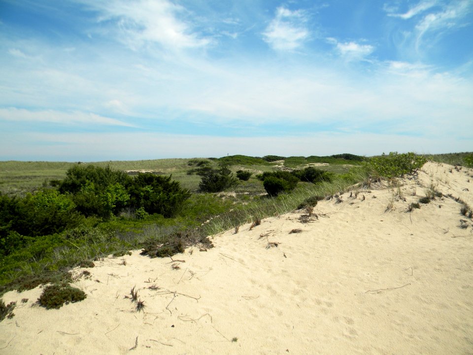 Double dune