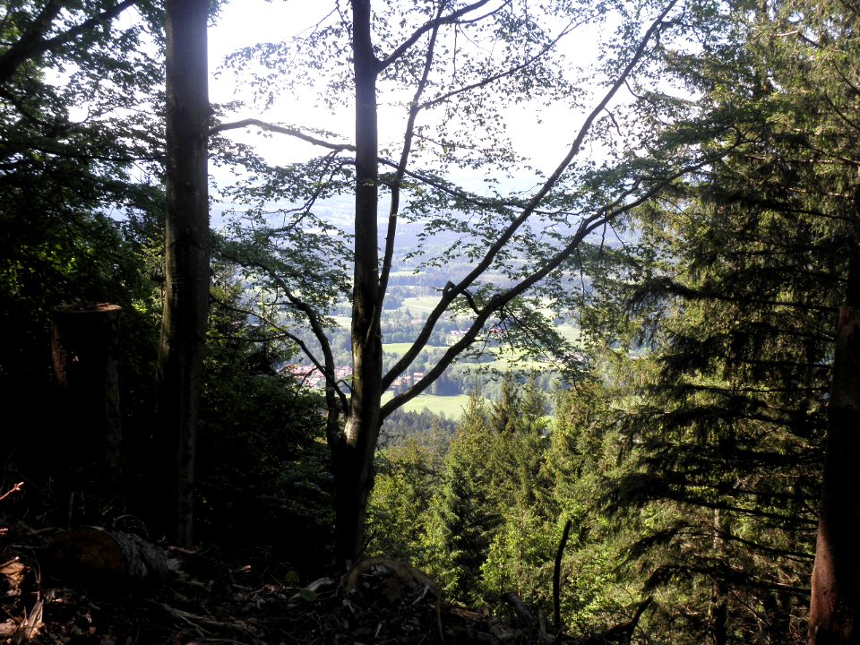 Ausflug Bad Tölz 28.05.2015