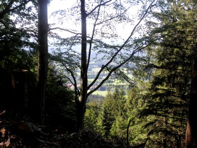 Ausflug Bad Tölz 28.05.2015