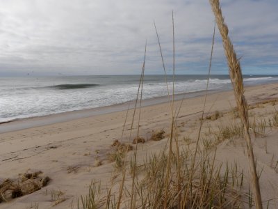 Beach at Amagansett