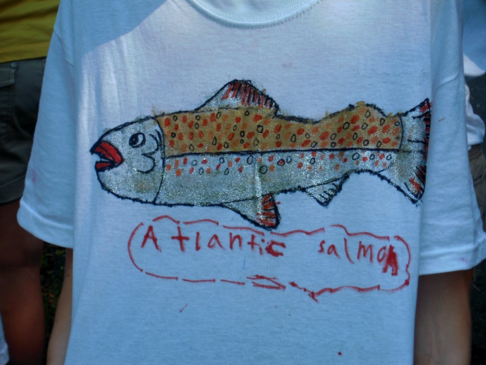 Student-made Atlantic salmon T-shirts