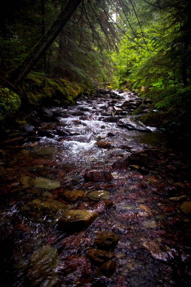 Jackson Creek