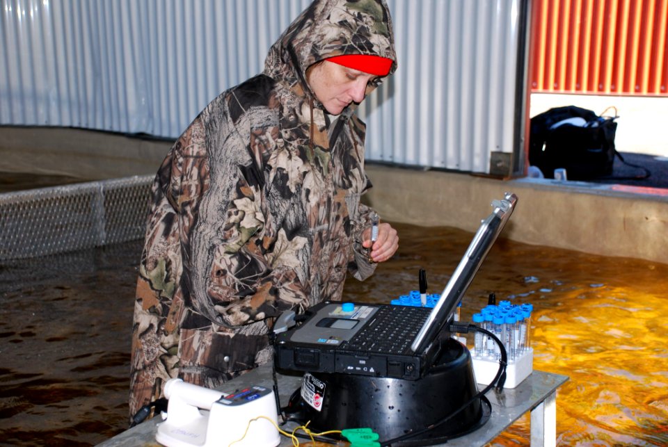 Accessing genome database photo