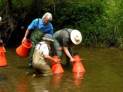 OSM Director Joseph Pizarchik Using a View Tube to Observe Mussels in Indian Creek