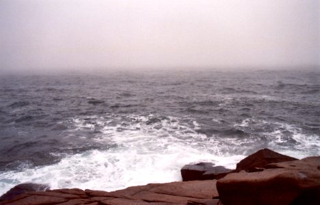 Marine habitat in Maine photo