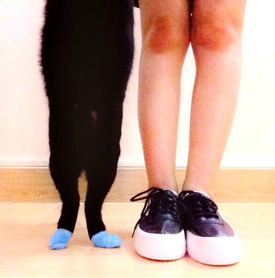 Mẹ & Con