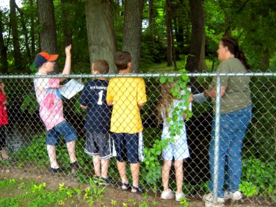 Discussing plants along riverbed