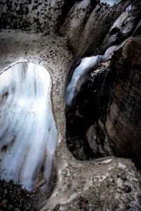 Swiftcurrent Glacier Ice photo