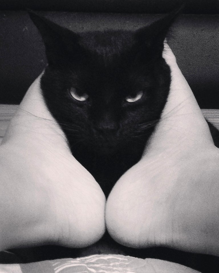 Một vẻ đẹp nam tính đến lạnh lùng 😼