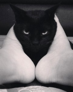 Một vẻ đẹp nam tính đến lạnh lùng 😼
