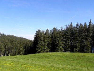 Ausflug Bad Tölz 28.05.2015