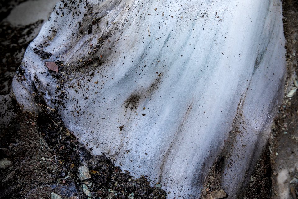 Swiftcurrent Glacier Ice