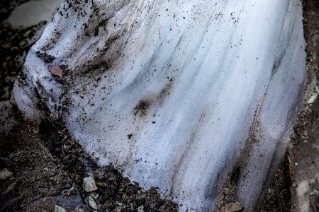 Swiftcurrent Glacier Ice