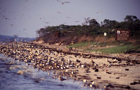 Norbury's Landing