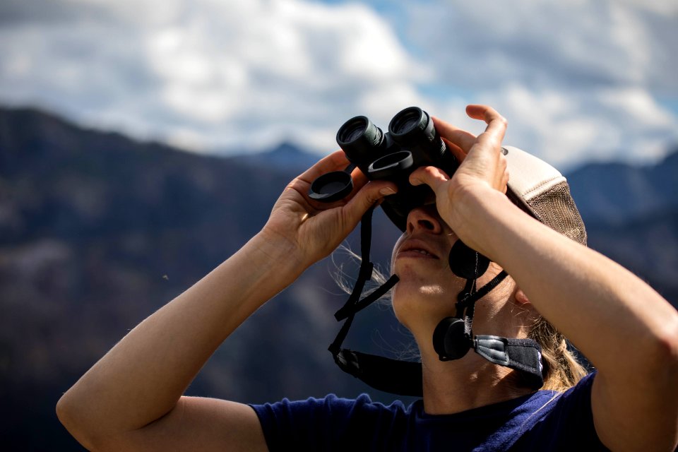 Hawk Watch Volunteer