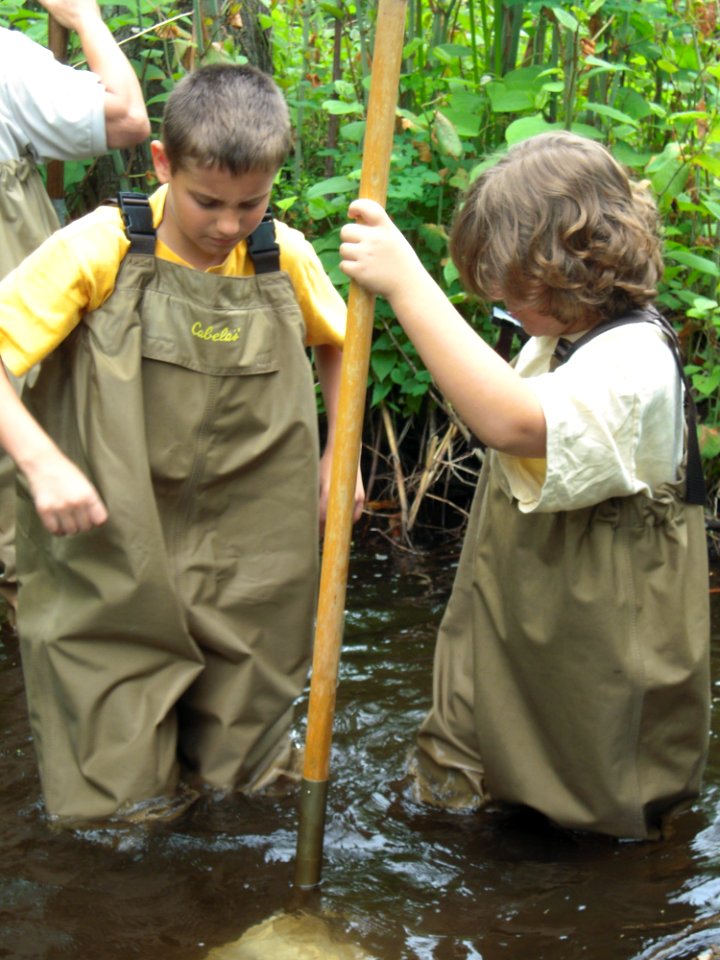 Looking to catch species in the stream